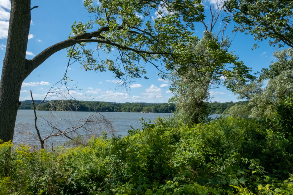 Hiking shot: A scenic hike through Cootes Paradise with lush trees and the glistening water.